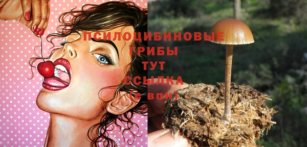 молекула духа Остров