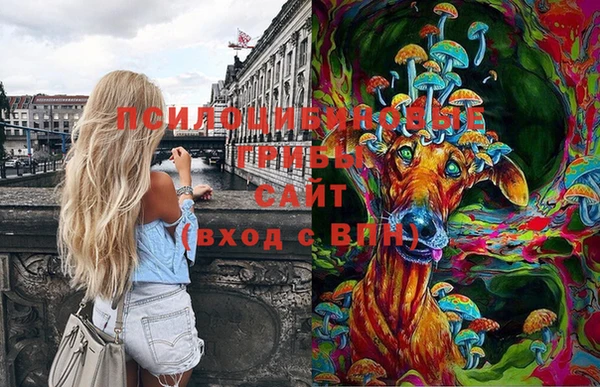 мет Нязепетровск