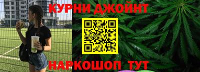 сатива Гай