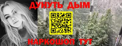 сатива Гай