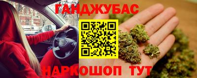 меф Гатчина