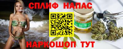 сатива Гай