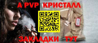 сатива Гай