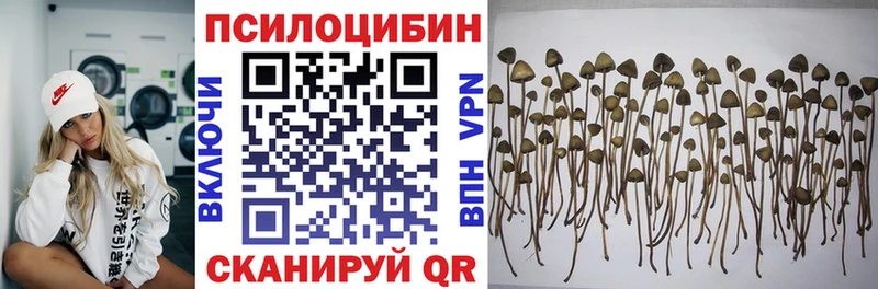 darknet официальный сайт Крымск Галлюциногенные грибы Magic Shrooms