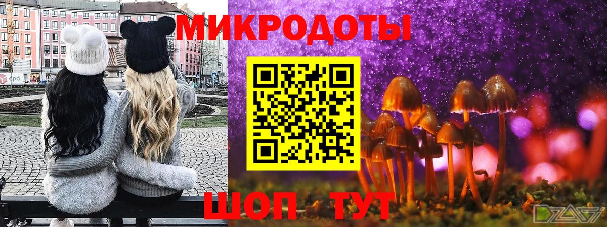 Псилоцибиновые грибы мухоморы  Псилоцибиновые грибы Cubensis  Крымск 