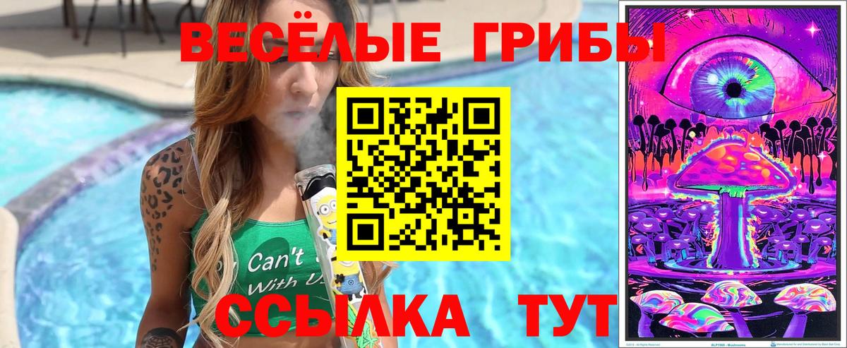 Крымск  Галлюциногенные грибы мухоморы  Вход с VPN 