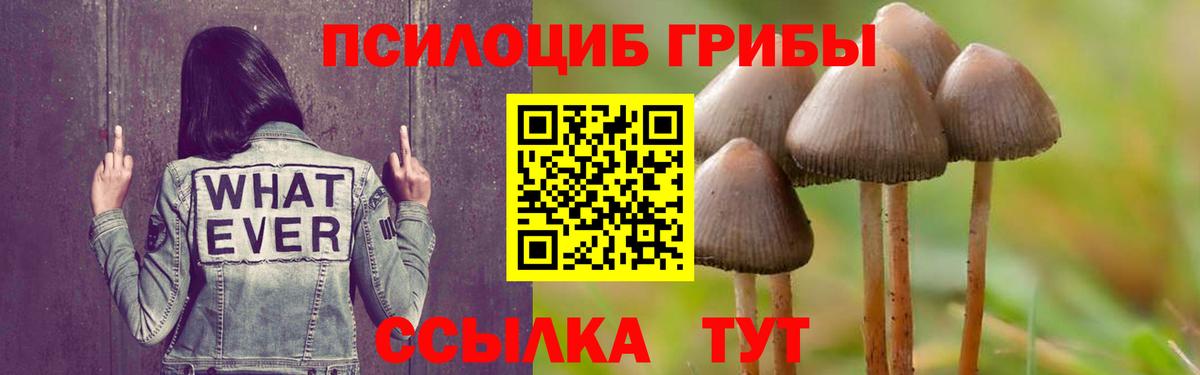 Галлюциногенные грибы прущие грибы Крымск